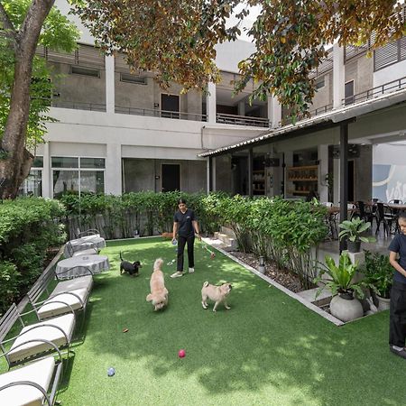 Ketawa Pet Friendly Hotel Chiang Mai Extérieur photo