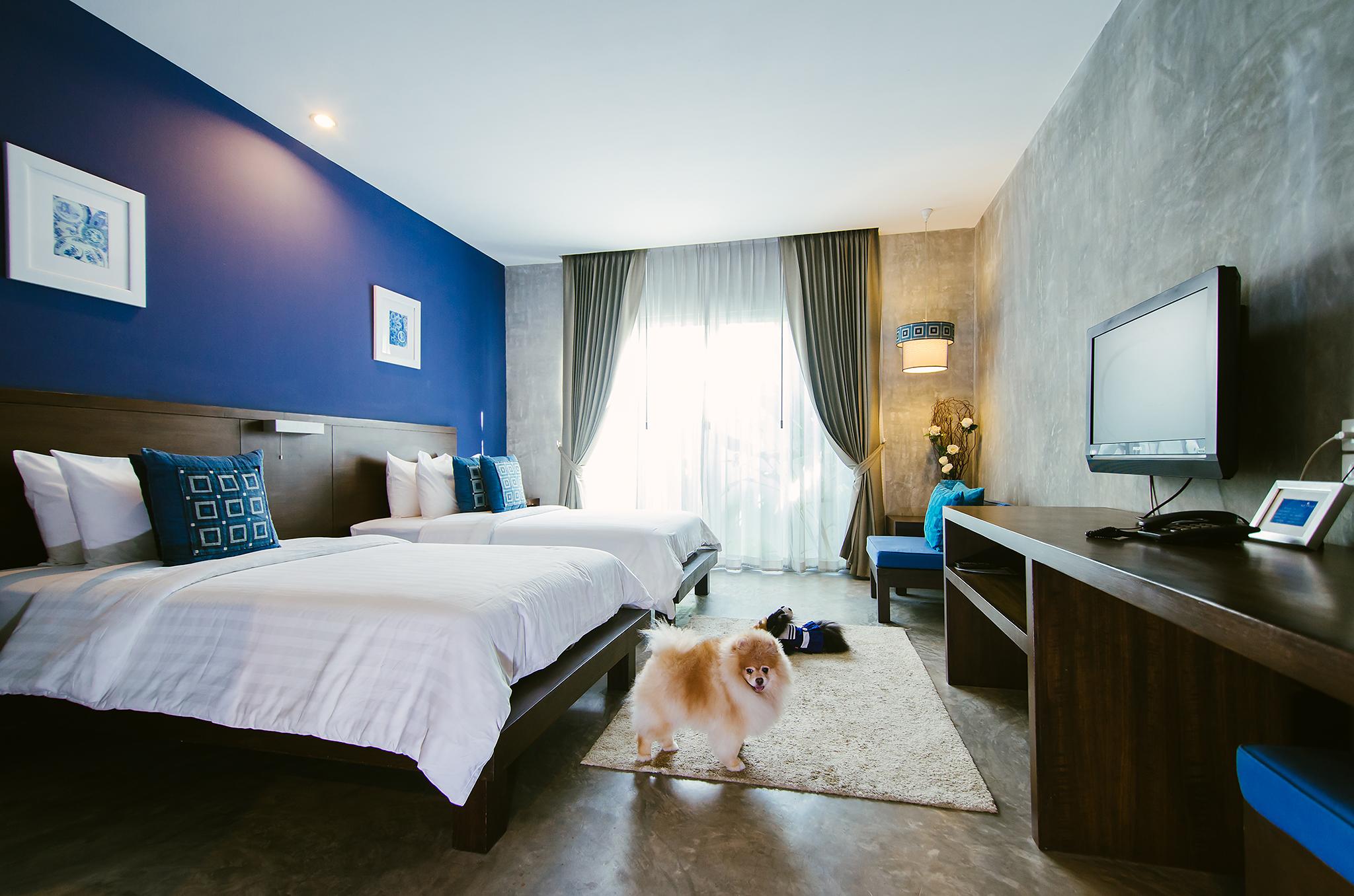 Ketawa Pet Friendly Hotel Chiang Mai Extérieur photo
