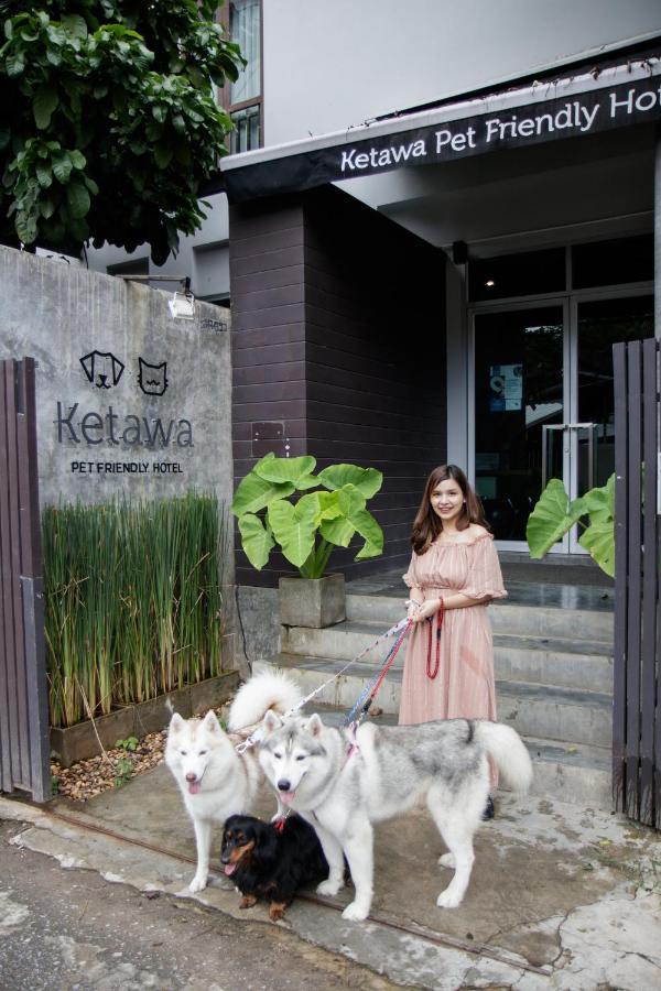 Ketawa Pet Friendly Hotel Chiang Mai Extérieur photo