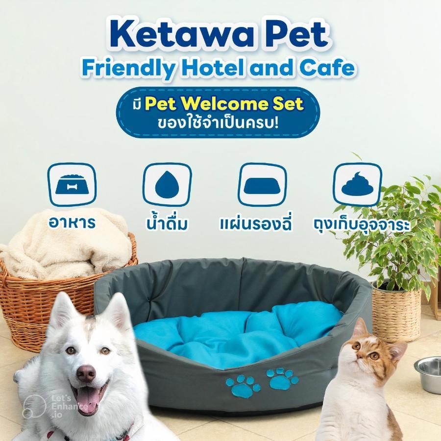 Ketawa Pet Friendly Hotel Chiang Mai Extérieur photo