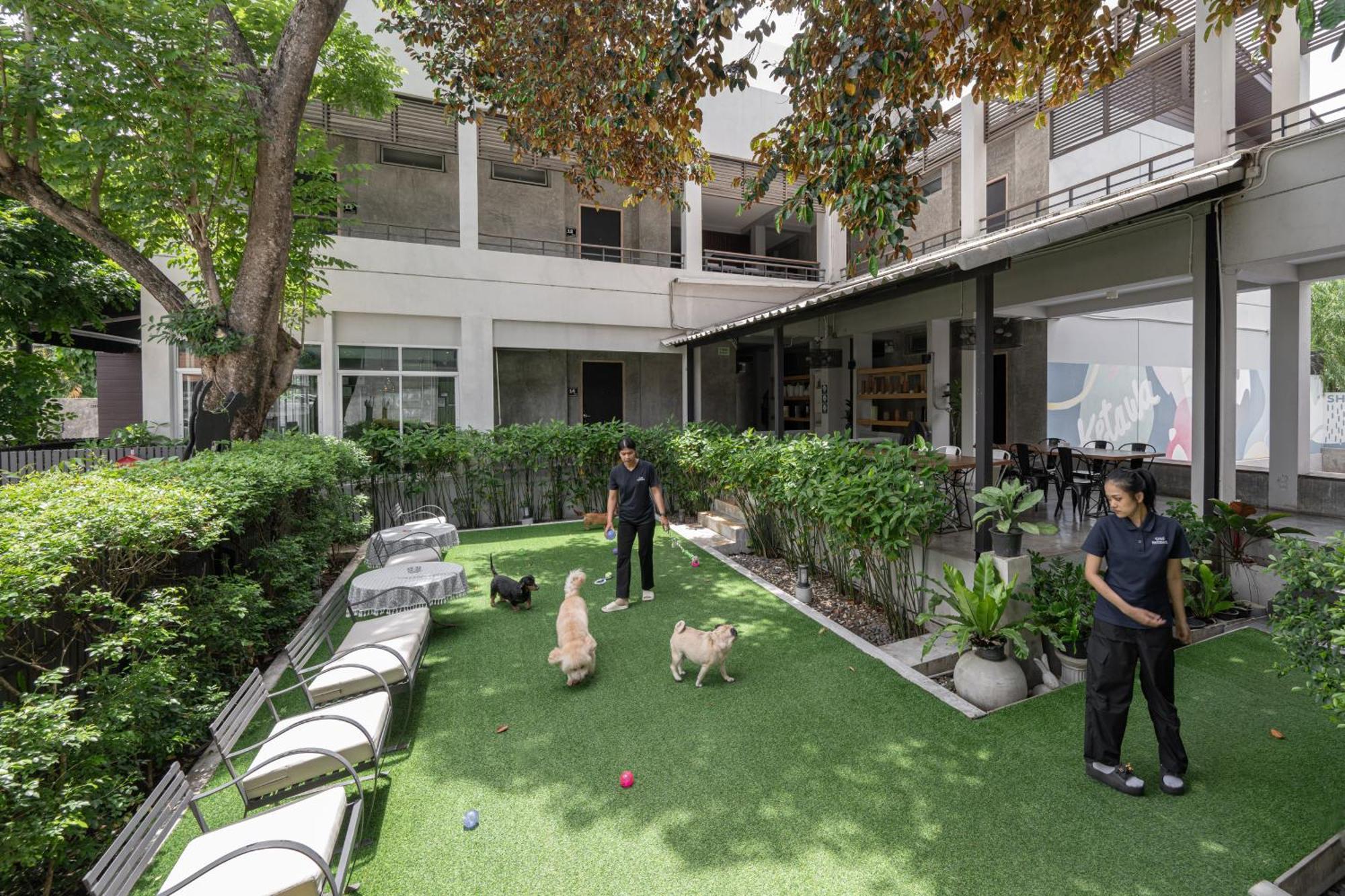 Ketawa Pet Friendly Hotel Chiang Mai Extérieur photo