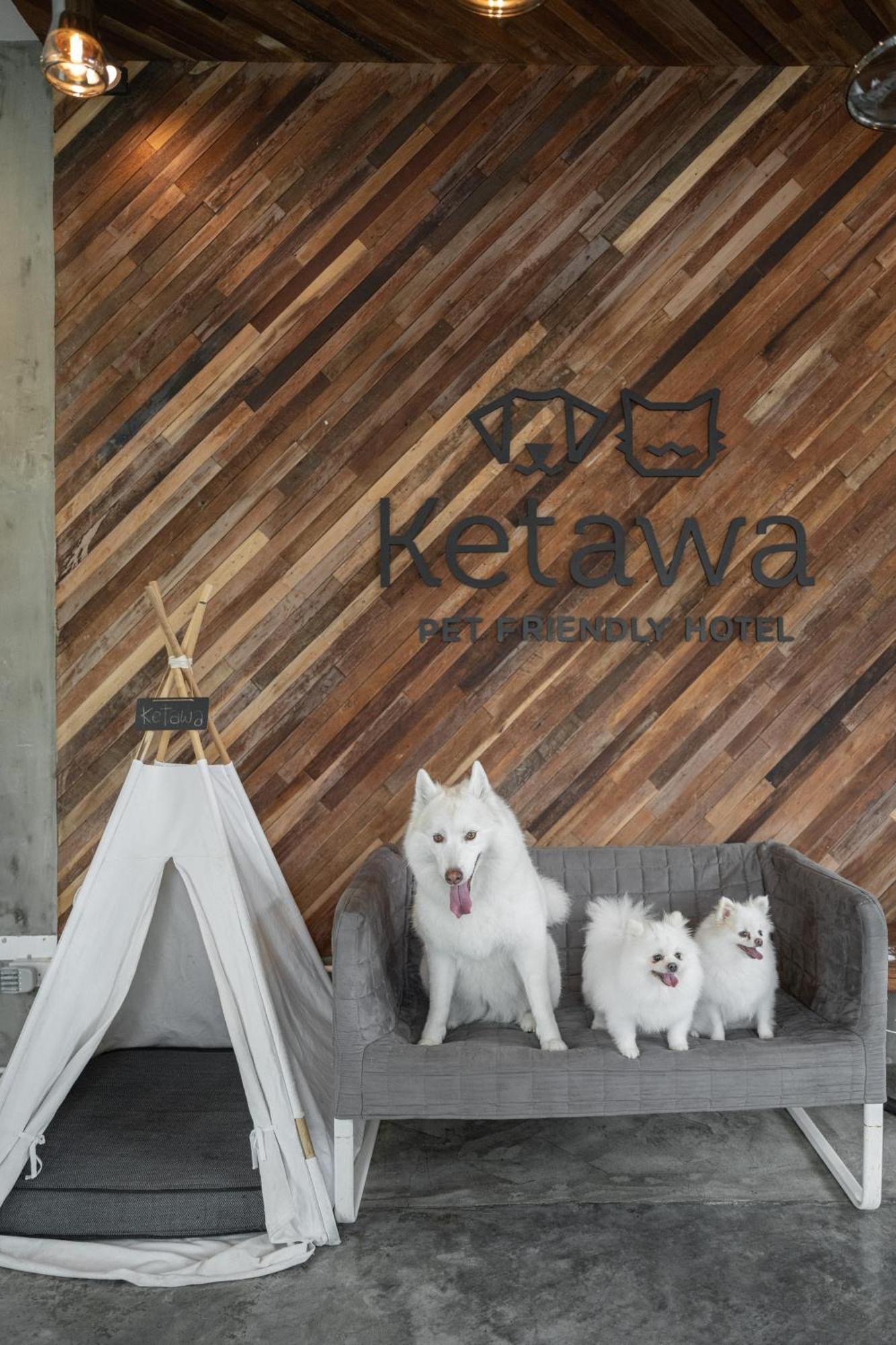 Ketawa Pet Friendly Hotel Chiang Mai Extérieur photo