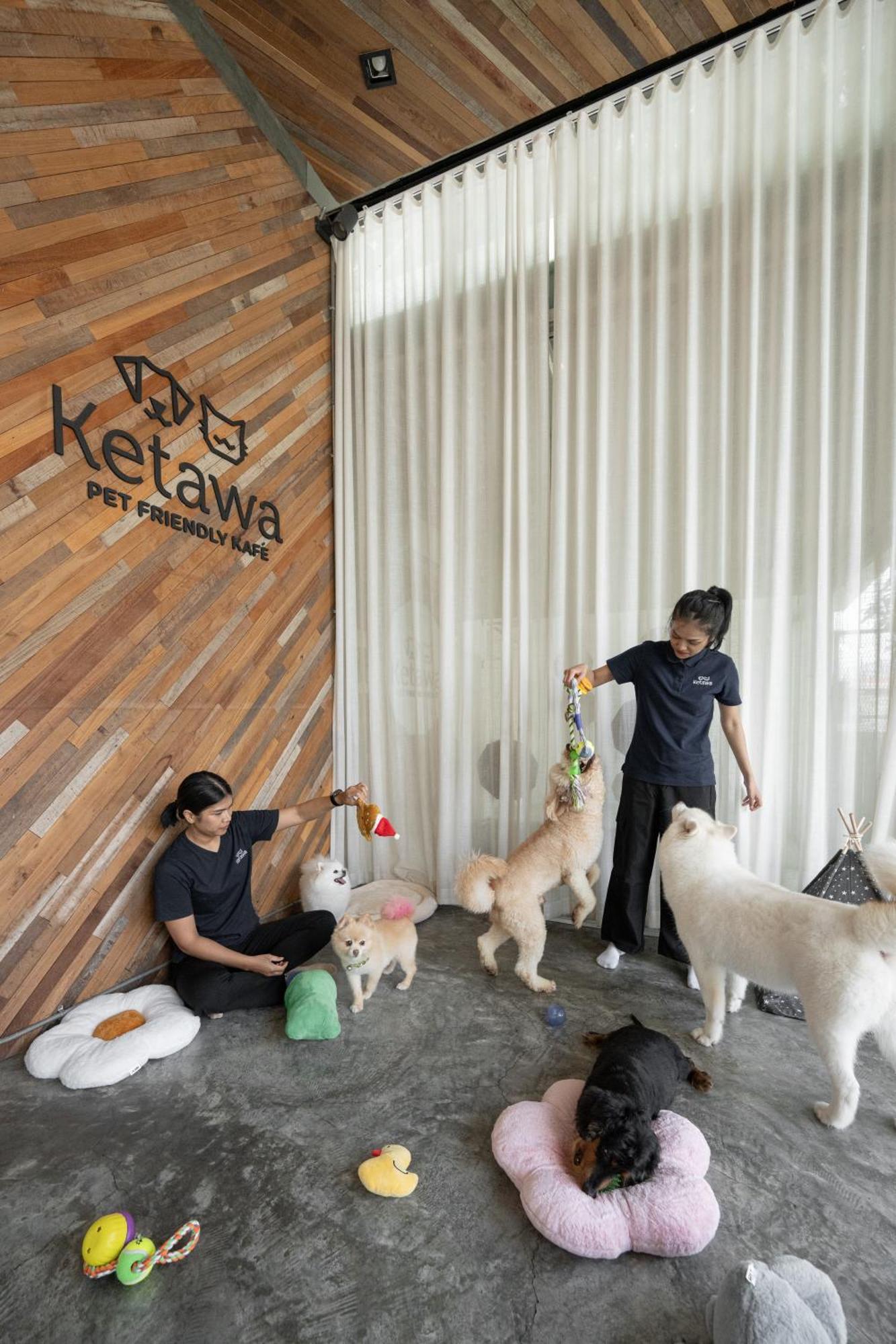 Ketawa Pet Friendly Hotel Chiang Mai Extérieur photo