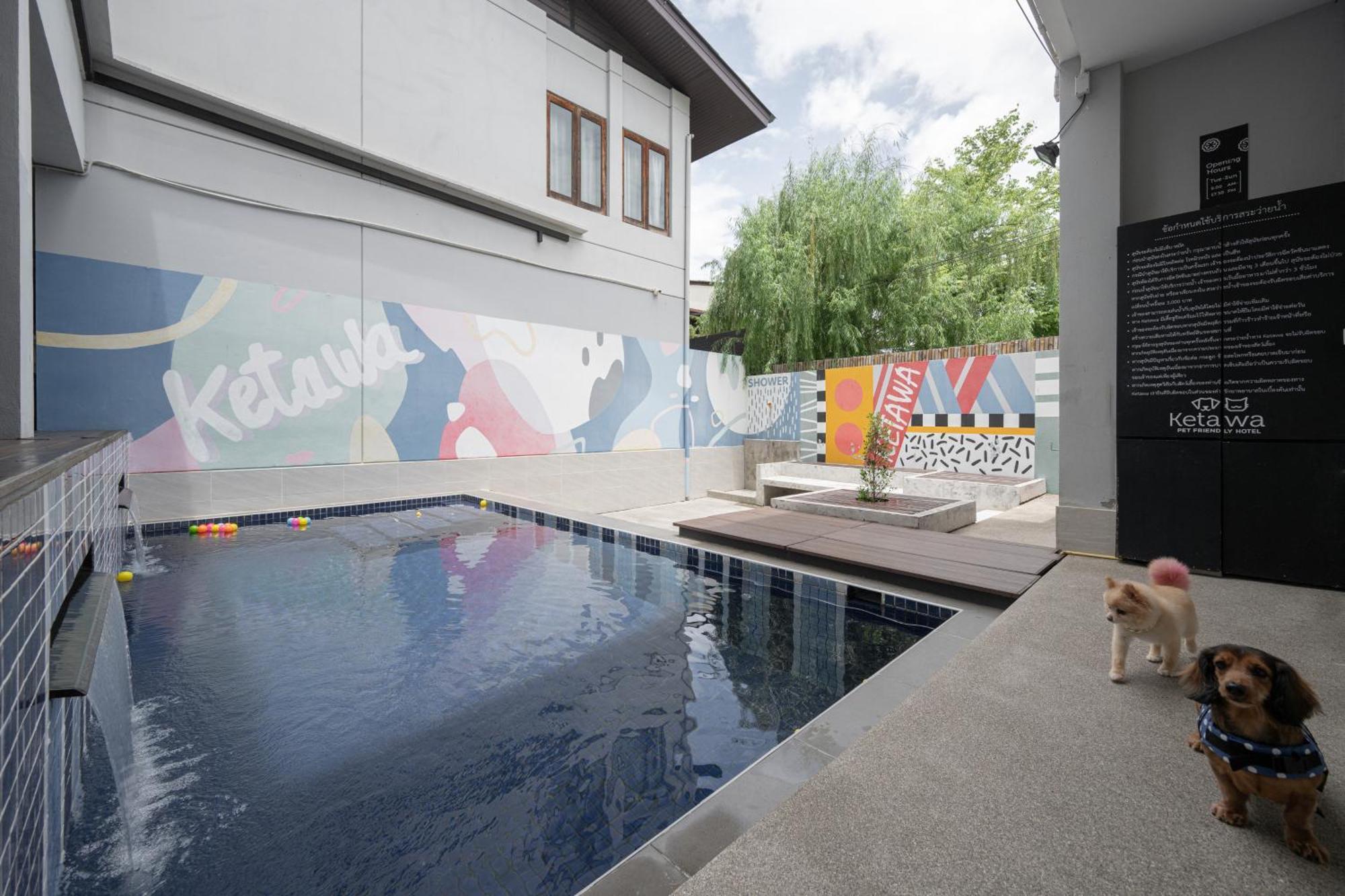 Ketawa Pet Friendly Hotel Chiang Mai Extérieur photo