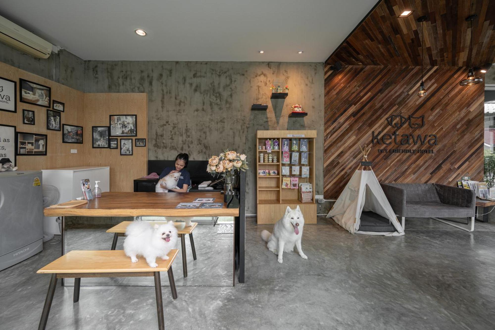 Ketawa Pet Friendly Hotel Chiang Mai Extérieur photo