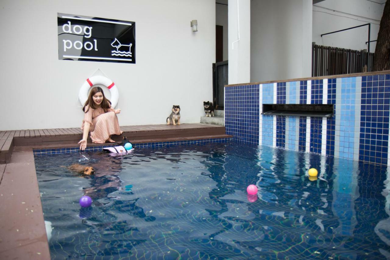 Ketawa Pet Friendly Hotel Chiang Mai Extérieur photo